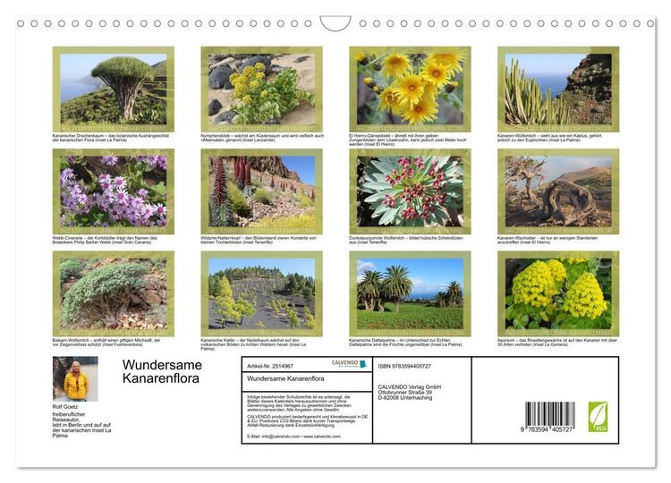 Produktbild: Wundersame Kanarenflora (Wandkalender 2027 DIN A3 quer), CALVENDO Monatskalender