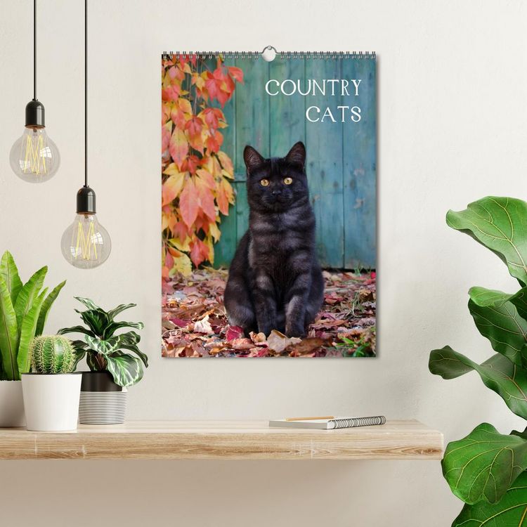 Produktbild: COUNTRY CATS (Wandkalender 2026 DIN A3 hoch), CALVENDO Monatskalender