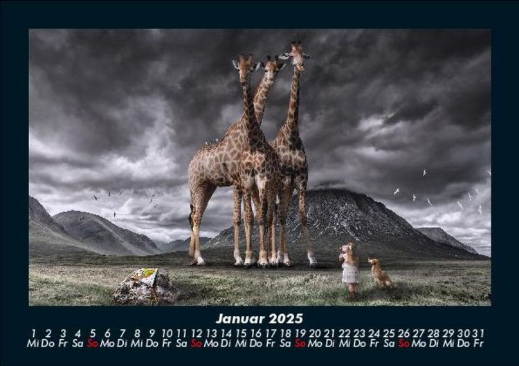 Produktbild: Giraffen 2025 Fotokalender DIN A5