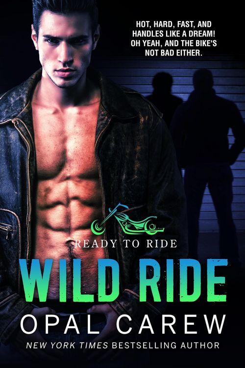 Produktbild: Wild Ride