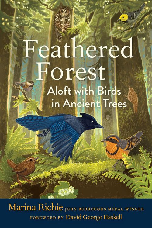 Produktbild: Feathered Forest