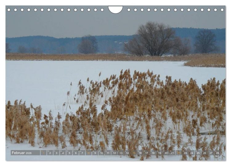 Produktbild: Im Oderbruch (Wandkalender 2026 DIN A4 quer), CALVENDO Monatskalender
