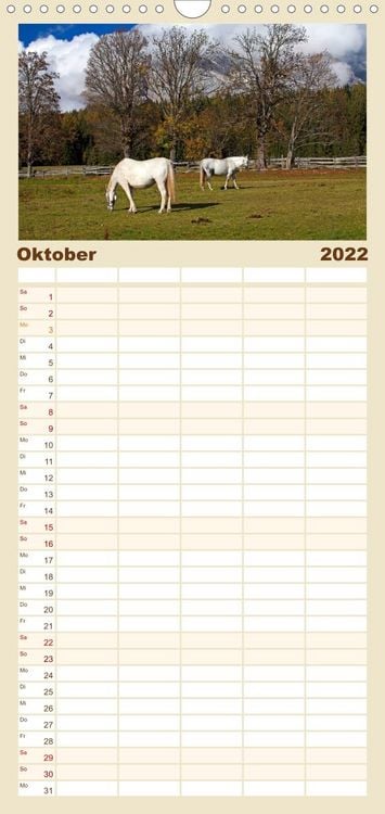 Produktbild: Familienplaner Pferde und Ponys im Paradies (Wandkalender 2022 , 21 cm x 45 cm, hoch)