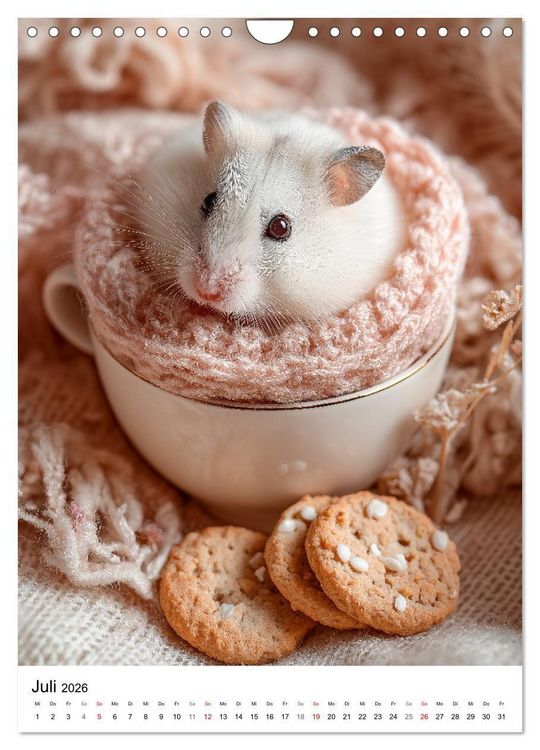 Produktbild: Hamster - s&uuml;&szlig;e Tiere zum Verlieben (Wandkalender 2026 DIN A4 hoch), CALVENDO Monatskalender