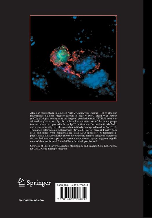 Produktbild: Fungal Immunology: