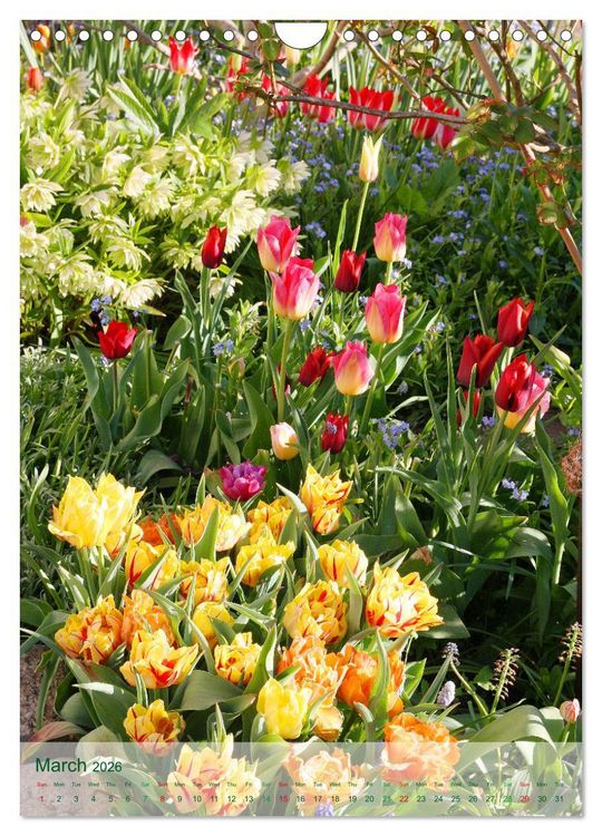 Produktbild: Garden Bliss (Wall Calendar 2026 DIN A4 portrait), CALVENDO 12 Month Wall Calendar