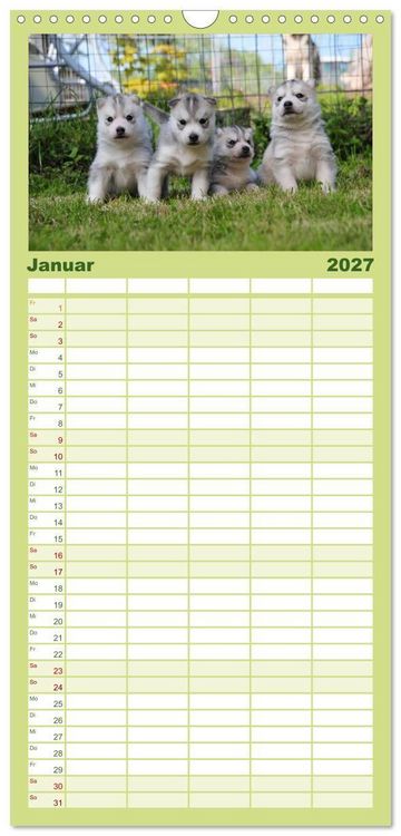 Produktbild: Familienplaner 2027 - Husky Welpen mit 5 Spalten (Wandkalender, 21 x 45 cm) CALVENDO