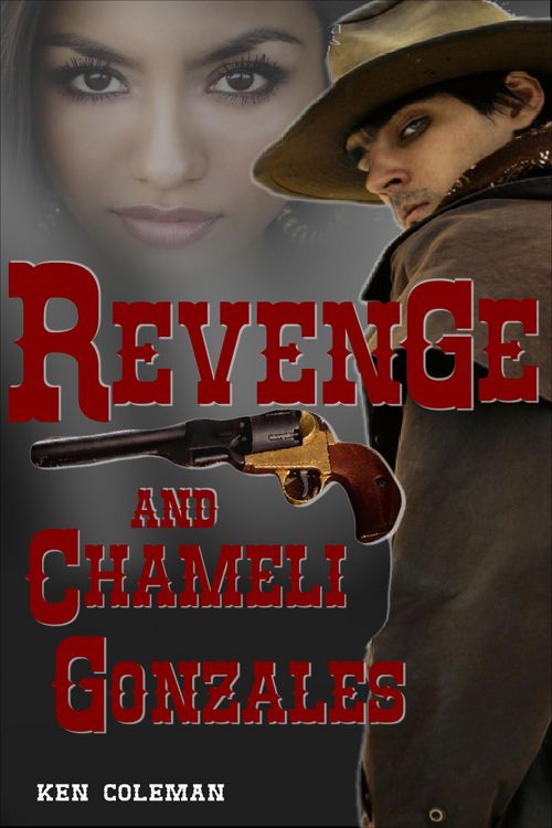 Produktbild: Revenge and Chameli Gonzales