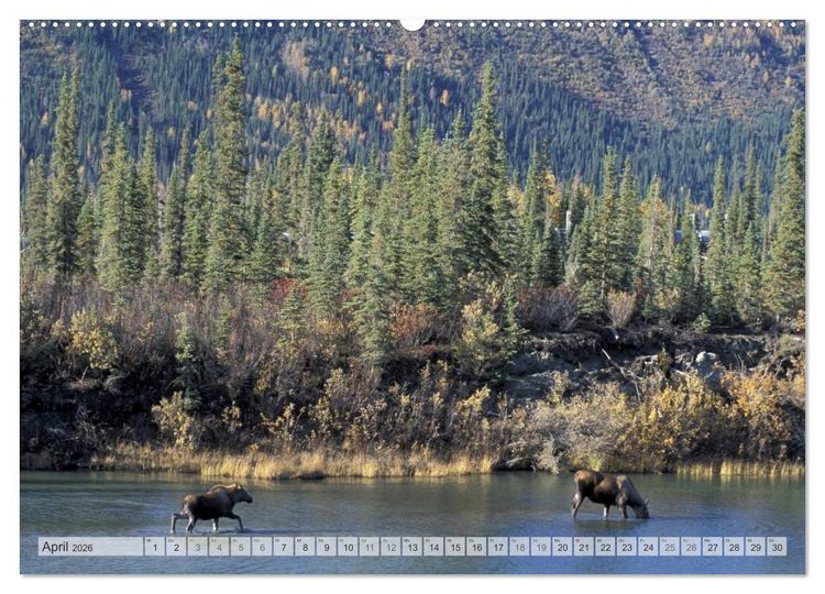 Produktbild: Wildes Alaska Christian Heeb (Wandkalender 2026 DIN A2 quer), CALVENDO Monatskalender