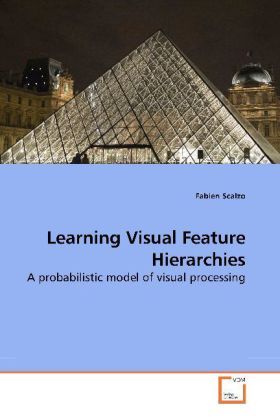 Produktbild: Scalzo, F: Learning Visual Feature Hierarchies