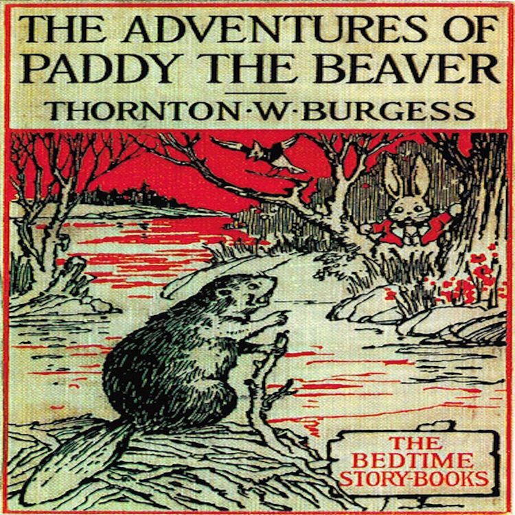 Produktbild: The Adventures of Paddy the Beaver