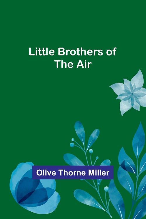 Produktbild: Little Brothers of the Air
