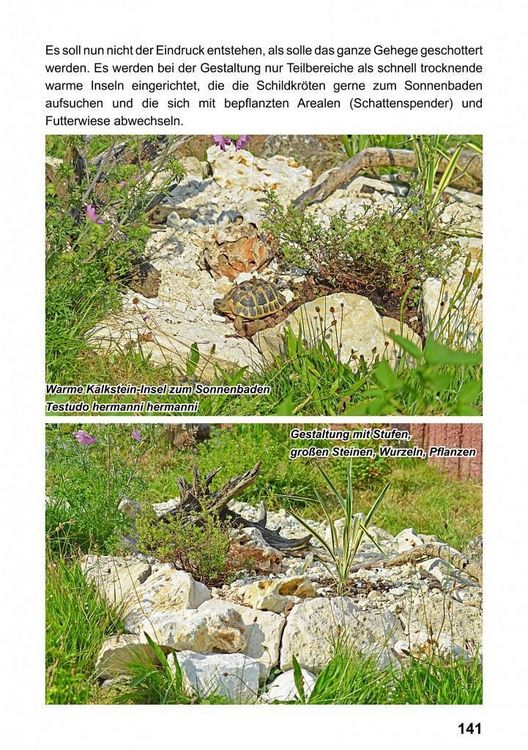 Produktbild: Landschildkr&ouml;ten-Freilandanlagen