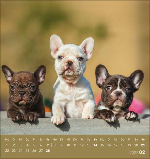 Produktbild: Hunde 2027