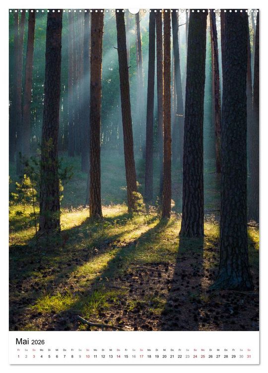 Produktbild: Der Harz - Malerische Orte (Wandkalender 2026 DIN A2 hoch), CALVENDO Monatskalender