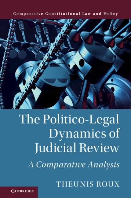 Produktbild: Politico-Legal Dynamics of Judicial Review