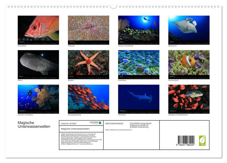 Produktbild: Magische Unterwasserwelten (hochwertiger Premium Wandkalender 2026 DIN A2 quer), Kunstdruck in Hochglanz