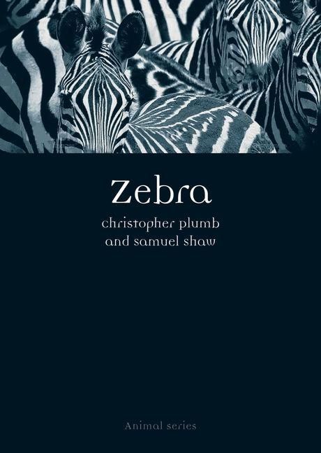 Produktbild: Zebra