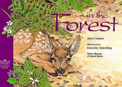 Produktbild: In the Forest