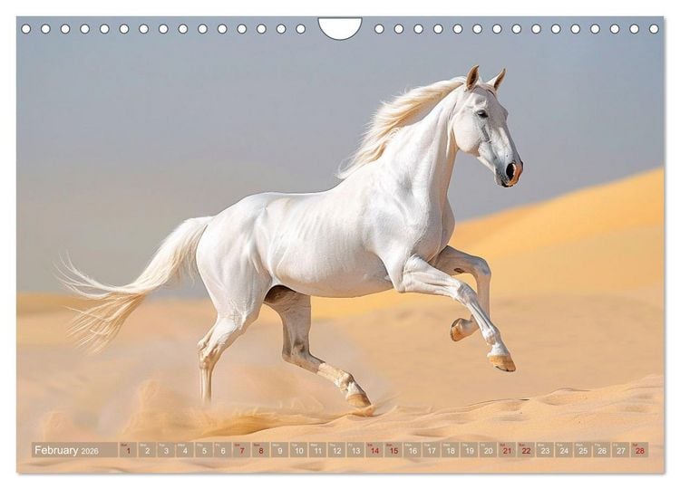 Produktbild: White Horses in Splendor (Wall Calendar 2026 DIN A4 landscape), CALVENDO 12 Month Wall Calendar