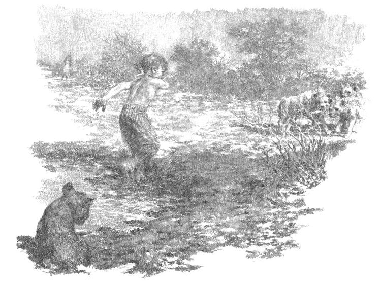Produktbild: The Butterfly Lion