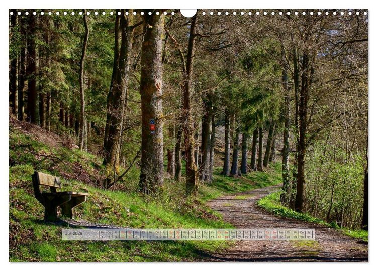 Produktbild: Wald im Bergischen Land 2026 (Wandkalender 2026 DIN A3 quer), CALVENDO Monatskalender