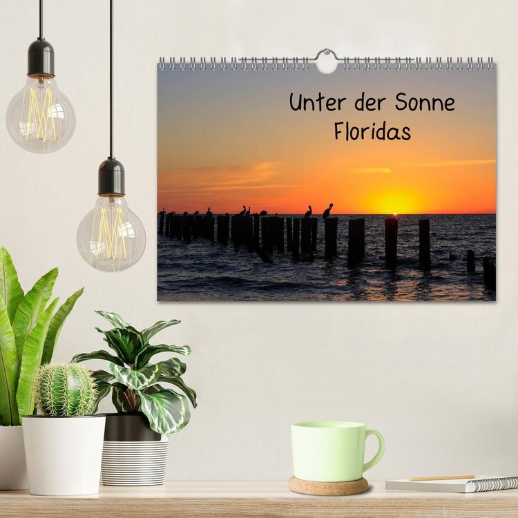 Produktbild: Unter der Sonne Floridas (Wandkalender 2026 DIN A4 quer), CALVENDO Monatskalender