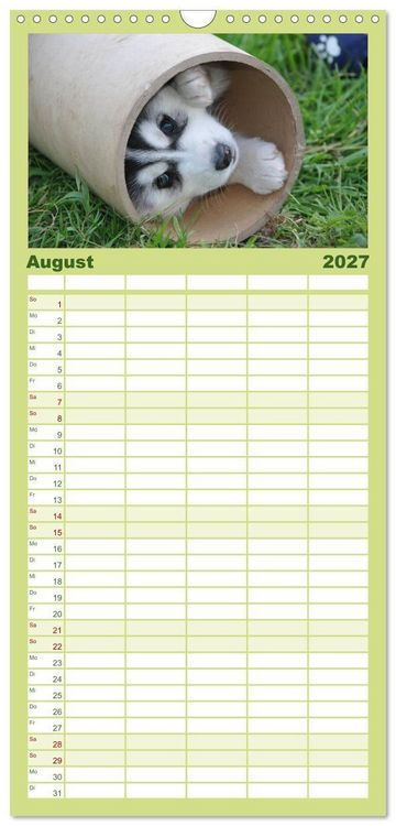 Produktbild: Familienplaner 2027 - Husky Welpen mit 5 Spalten (Wandkalender, 21 x 45 cm) CALVENDO