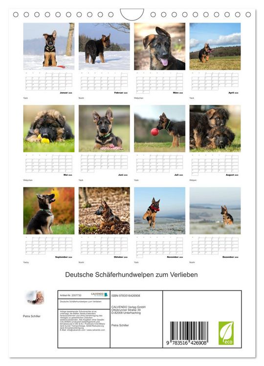 Produktbild: Deutsche Sch&auml;ferhundwelpen zum Verlieben (Wandkalender 2026 DIN A4 hoch), CALVENDO Monatskalender