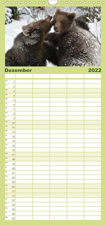 Produktbild: Familienplaner Die lieben Kleinen ... Tierkinder einfach zum Knuddeln (Wandkalender 2022 , 21 cm x 45 cm, hoch)
