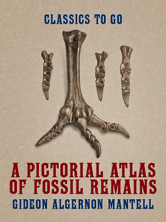 Produktbild: A Pictorial Atlas of Fossil Remains
