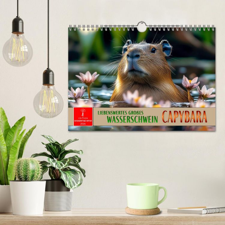 Produktbild: Capybara - liebenswertes gro&szlig;es Wasserschwein (Wandkalender 2026 DIN A4 quer), CALVENDO Monatskalender