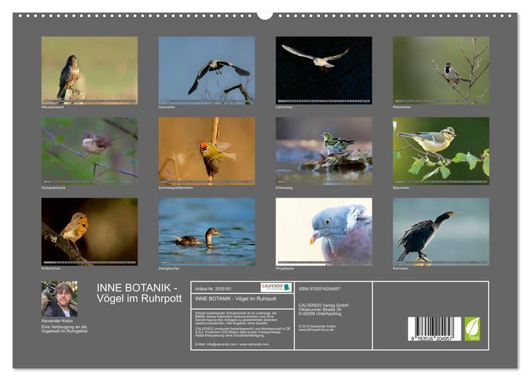 Produktbild: INNE BOTANIK - V&ouml;gel im Ruhrpott (hochwertiger Premium Wandkalender 2026 DIN A2 quer), Kunstdruck in Hochglanz
