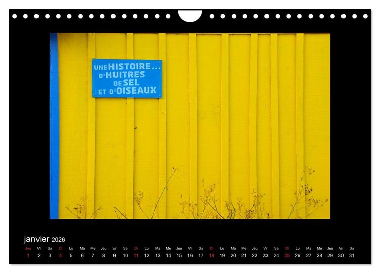 Produktbild: Les Cabanes d'Ol&eacute;ron (Calendrier mural 2026 DIN A4 vertical), CALVENDO calendrier mensuel