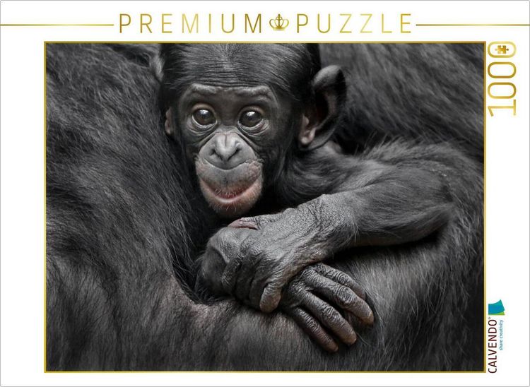 Produktbild: CALVENDO Puzzle Bonobo XEKELE | 1000 Teile Lege-Gr&ouml;&szlig;e 64x48cm Foto-Puzzle f&uuml;r gl&uuml;ckliche Stunden