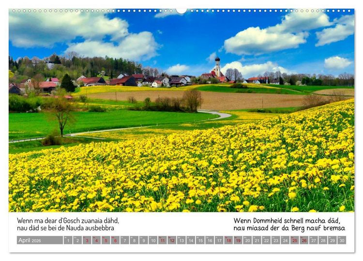 Produktbild: 03 Schw&auml;bische Sprichw&ouml;rter - D&ouml;s au no! (Wandkalender 2026 DIN A2 quer), CALVENDO Monatskalender