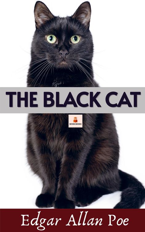 Produktbild: The Black Cat