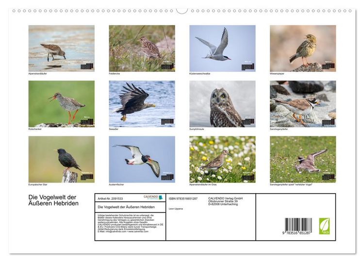 Produktbild: Die Vogelwelt der &Auml;u&szlig;eren Hebriden (hochwertiger Premium Wandkalender 2026 DIN A2 quer), Kunstdruck in Hochglanz