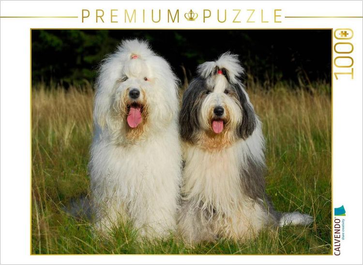Produktbild: CALVENDO Puzzle Bobtail P&auml;rchen | 1000 Teile Lege-Gr&ouml;&szlig;e 64x48cm Foto-Puzzle f&uuml;r gl&uuml;ckliche Stunden
