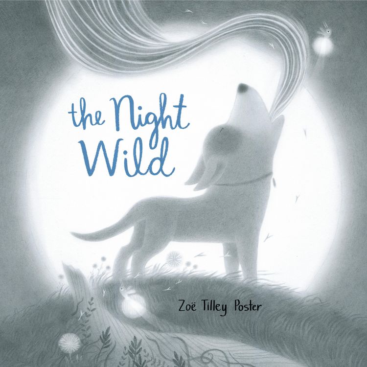 Produktbild: The Night Wild