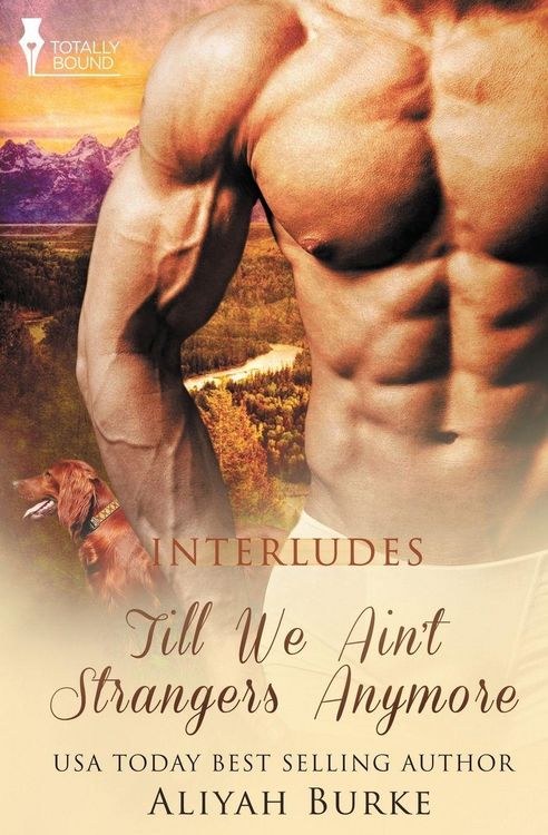 Produktbild: Interludes