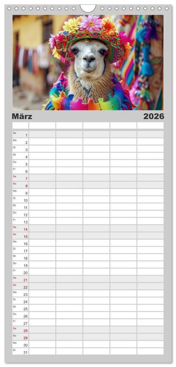 Produktbild: Familienplaner 2026 - Lamas auf Tour. Perus flauschige Fashion-Ikonen mit 5 Spalten (Wandkalender, 21 x 45 cm) CALVENDO