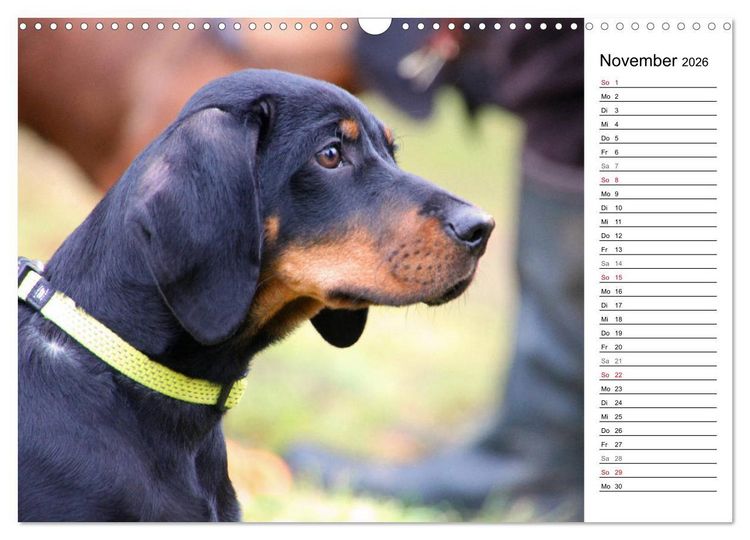 Produktbild: Der Brandlbracken-Terminplaner (Wandkalender 2026 DIN A3 quer), CALVENDO Monatskalender