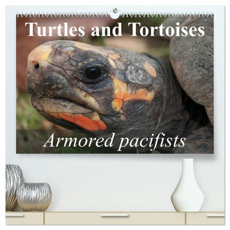 Produktbild: Turtles and Tortoises - Armored pacifists (High Quality Premium Wall Calendar 2026 DIN A2 landscape),CALVENDO 12 Month Wall Calendar