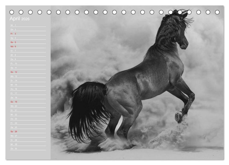 Produktbild: Arabische Pferde (Tischkalender 2026 DIN A5 quer), CALVENDO Monatskalender