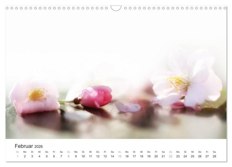 Produktbild: Kirschbl&uuml;tentraum (Wandkalender 2026 DIN A3 quer), CALVENDO Monatskalender