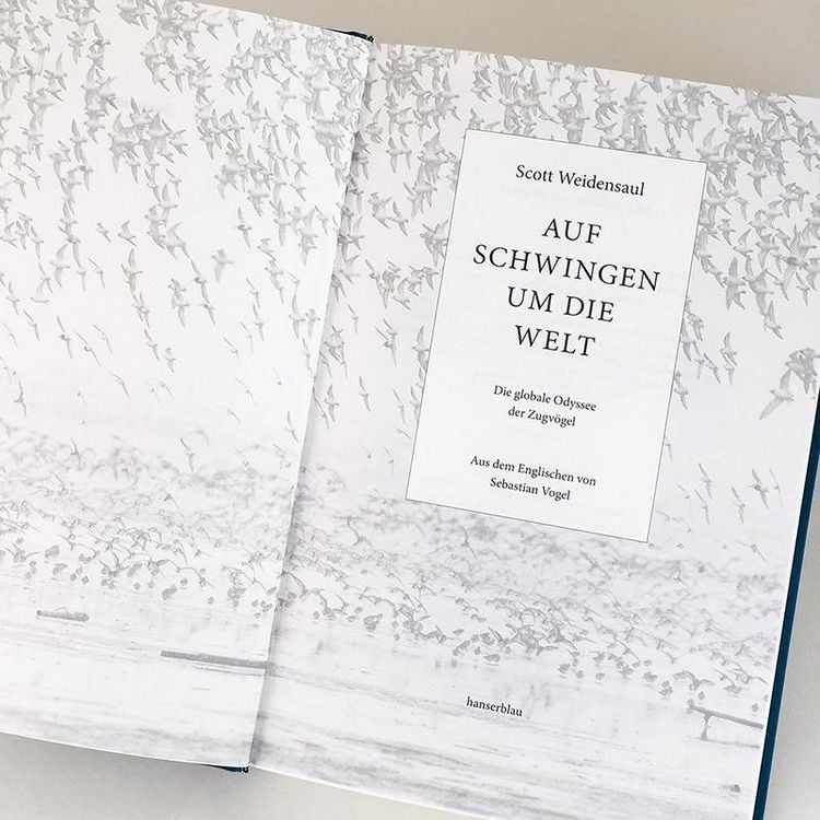 Produktbild: Auf Schwingen um die Welt