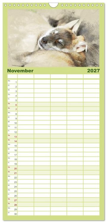 Produktbild: Familienplaner 2027 - Hundewelpen 2027 mit 5 Spalten (Wandkalender, 21 x 45 cm) CALVENDO