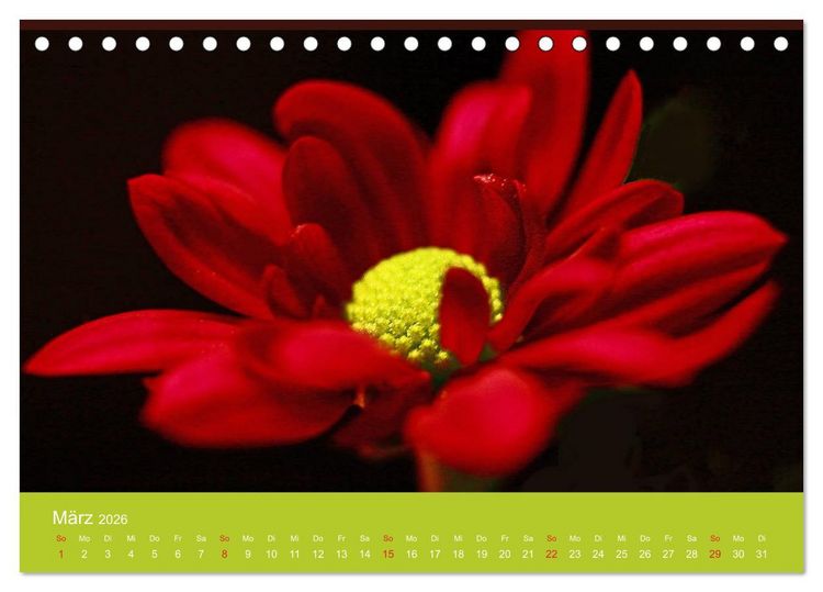 Produktbild: Fantastische Reise in die Welt der Blumen (Tischkalender 2026 DIN A5 quer), CALVENDO Monatskalender