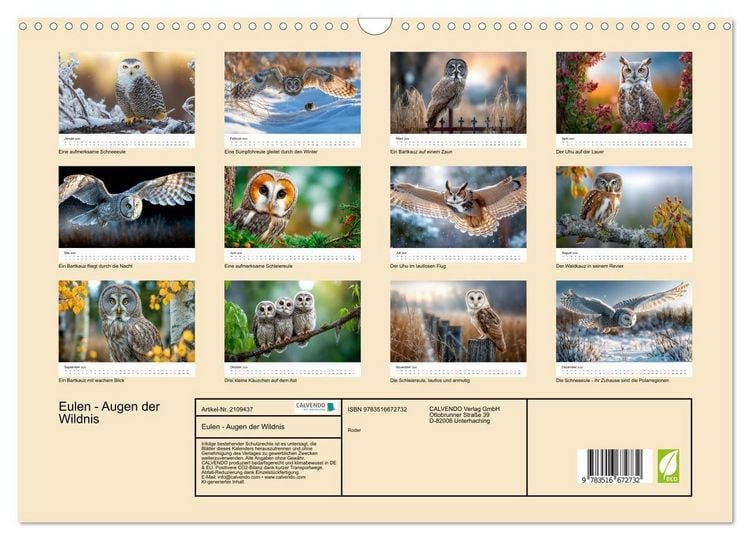 Produktbild: Eulen - Augen der Wildnis (Wandkalender 2026 DIN A3 quer), CALVENDO Monatskalender